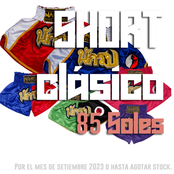banner promocion setiembre 2023 shorts clasicos a solo 85 soles version mobile